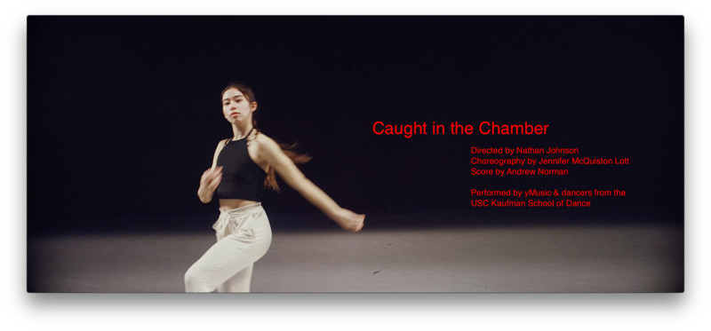 caught_in_the_chamber