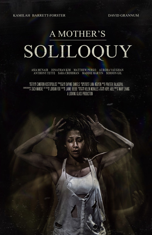 a_mothers_soliloquy_movie_poster